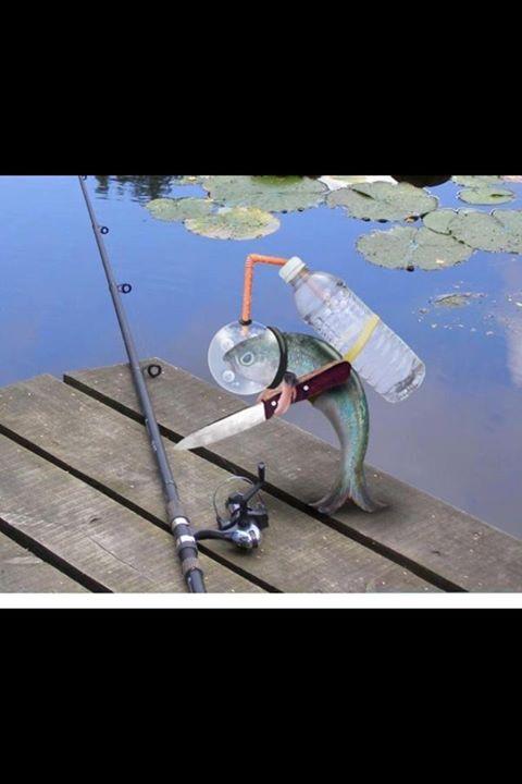 poze adunate - 488297101514158660437951859326393n.jpg